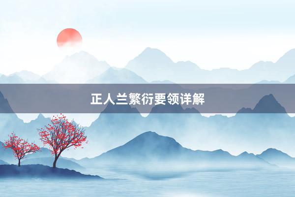 正人兰繁衍要领详解