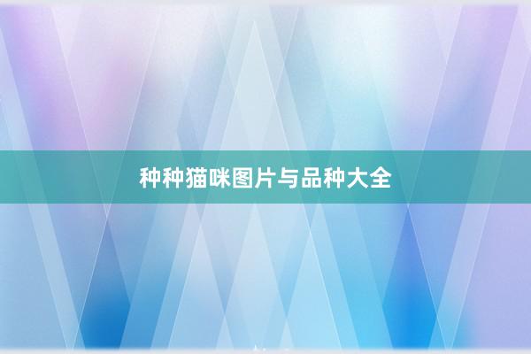 种种猫咪图片与品种大全