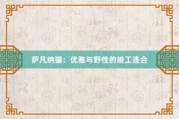 萨凡纳猫：优雅与野性的竣工连合